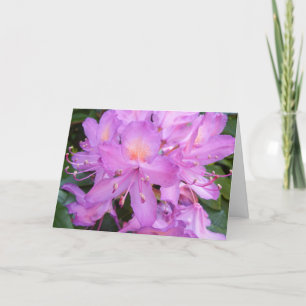 Kort för Rhododendronblommafödelsedag