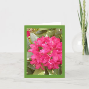 Kort för Rhododendronblommahälsning