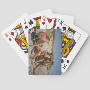 Kort för RWH Cribbage på strand Casinokort