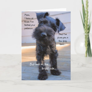 Kort för Schnauzermors daghälsning