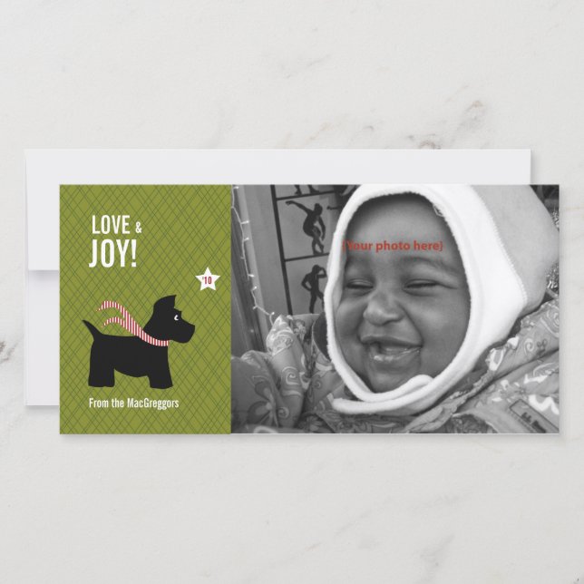 Kort för Scottiejulfoto (Framsida)