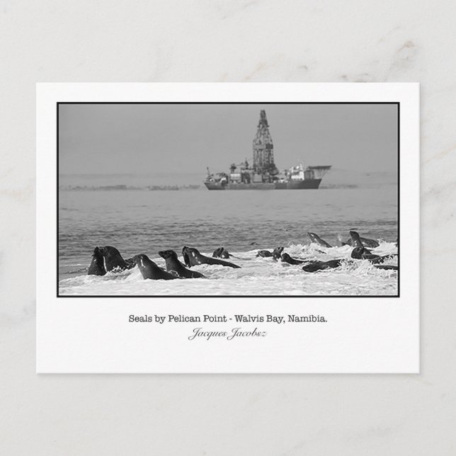 Kort för Seal Colony (Framsida)