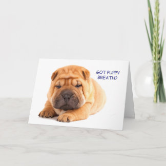 Kort för Shar Pei valpfödelsedag