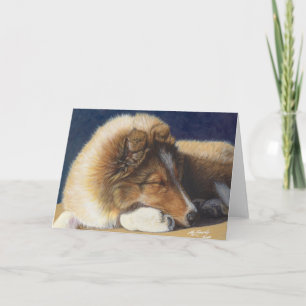 Kort för Sheltie Shetland Sheepdoghälsning