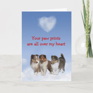 Kort för Sheltie valpkärlek