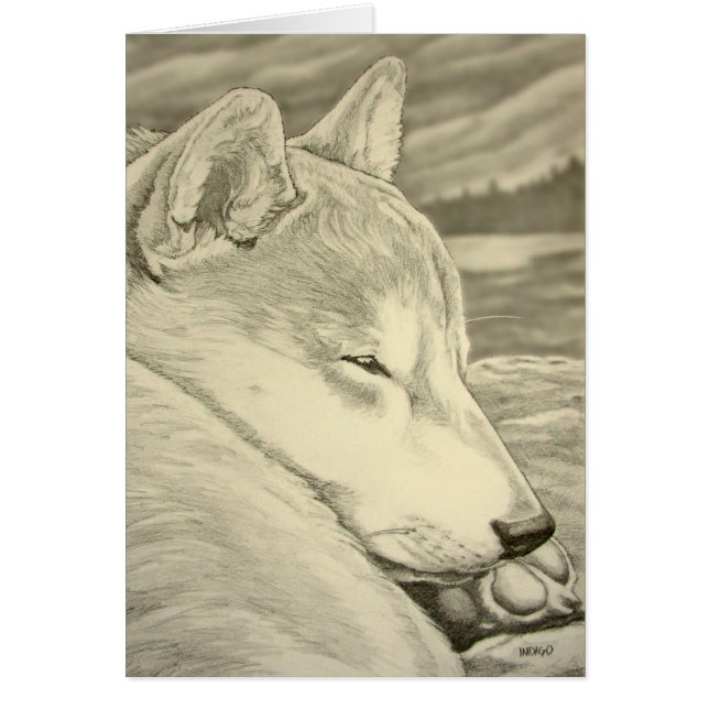 Kort för Shiba Inu hundkonst förbigår Shiba Inu (Framsidan)