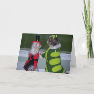 Kort för Shih Tzu Halloween dräkthälsning