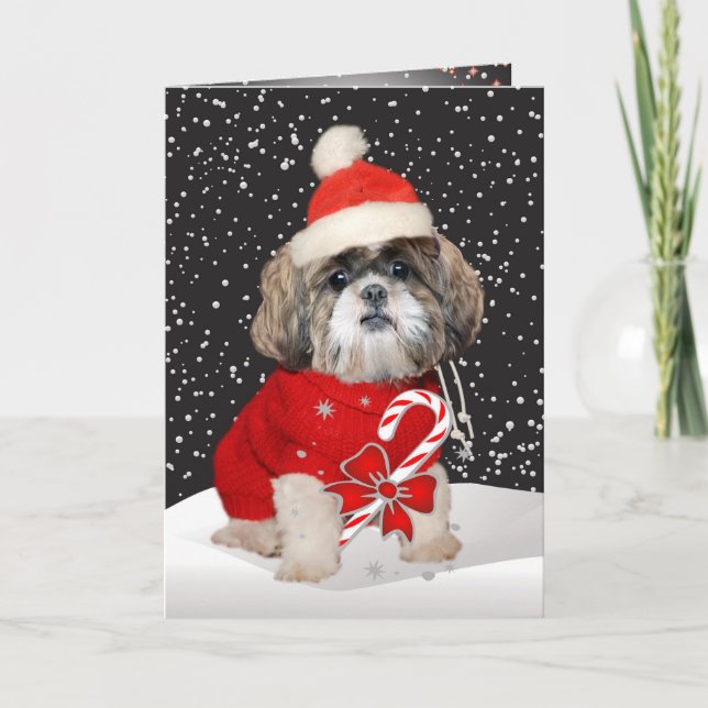 Kort för Shih Tzu Santa säsonghälsningar (Framsida)