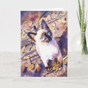 Kort "för Siamese katt"