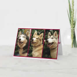Kort för siberian huskyjulhelgdag