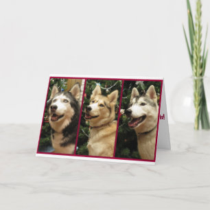 Kort för siberian huskyjulhelgdag