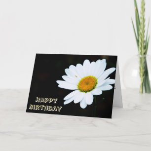 Kort för singeldaisyfödelsedag