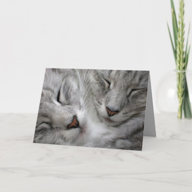 Kort för skogkattfödelsedag (Framsida)