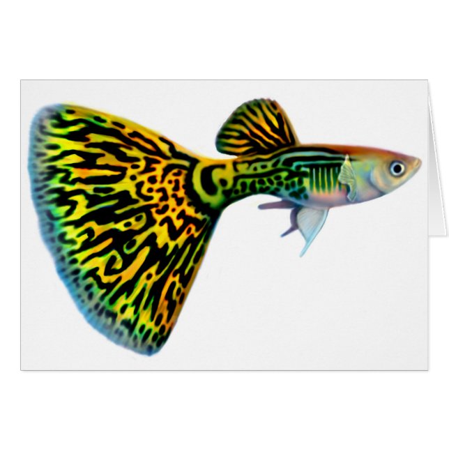 Kort för Snakeskin kobraGuppy (Framsidan Horizontal)