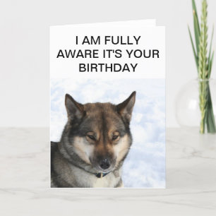 Kort för Snarky siberian huskyfödelsedag