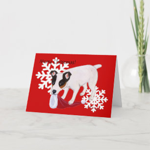 Kort för snöflingor för jul för jackRussell