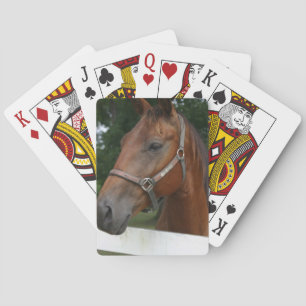 Kort för sötad kastanjeport spel kort