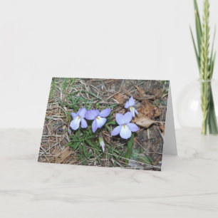 Kort för SpringtimeVioletshälsning