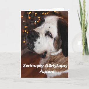 Kort för St Bernard julhälsning