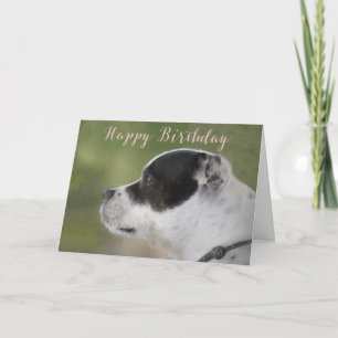 Kort för Staffie valpfödelsedag