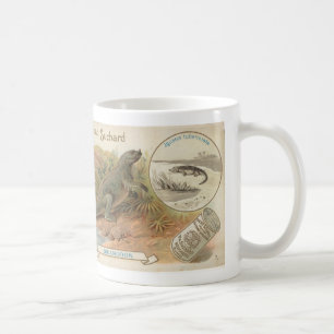 kort för suchardiguanodon 1895 kaffemugg