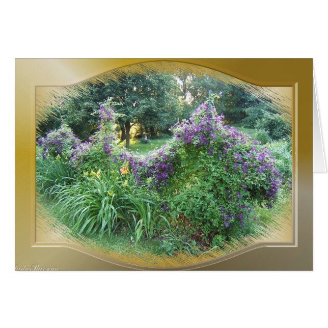 Kort för Swagged Clematis~ (Framsidan Horizontal)