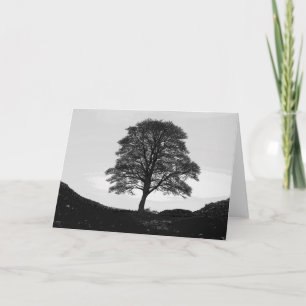 Kort för SycamoreGap hälsning