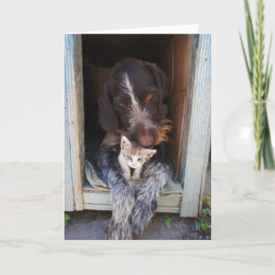 Kort för tackhund- och kattungehälsning