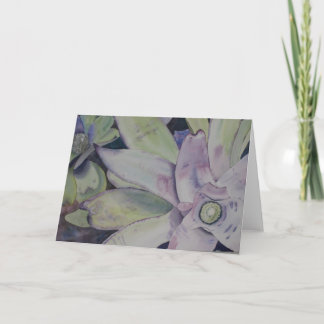 Kort för Texas skönhethälsning