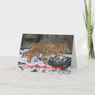 Kort för tigerpackehelgdag