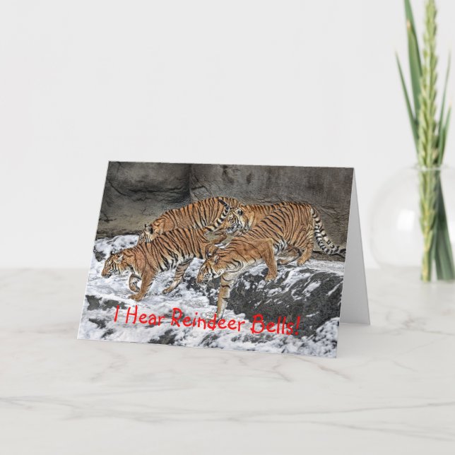 Kort för tigerpackehelgdag (Framsida)