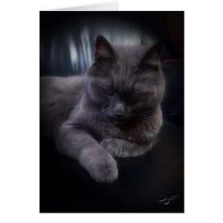 Kort för tillfällen (förbigå)