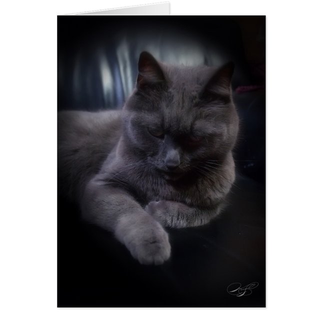 Kort för tillfällen (förbigå) (Framsidan)