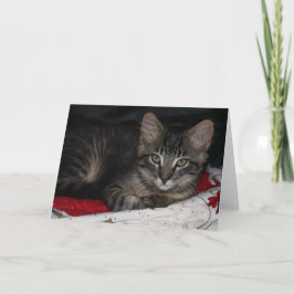 Kort för tom julklapp