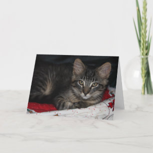 Kort för tom julklapp