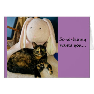 Kort för Tortie kattpåsk