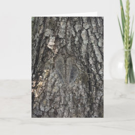 kort för trädhjärtahälsning #1