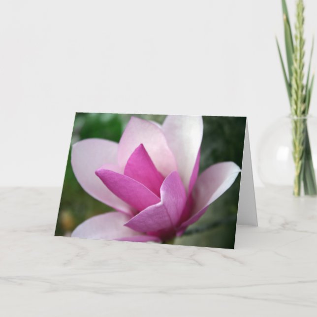 kort för tulpan 001 (Framsida)