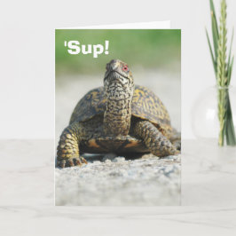 Kort för turturturturturturturturval