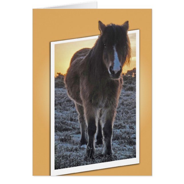 Kort för utskärning (Framsidan)