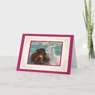 Kort för valentines day för Alpacababykärlek