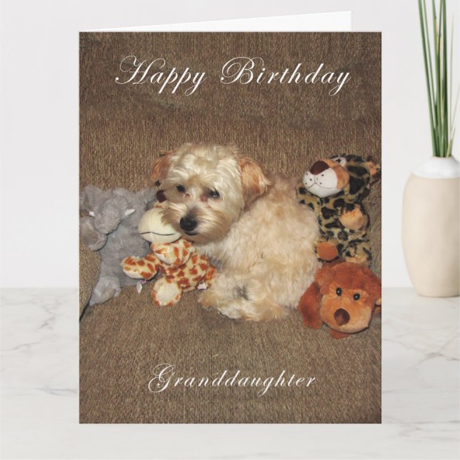 Kort för valpsondotterfödelsedag (Framsida)