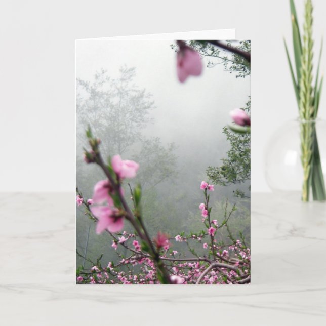 Kort för vårHarmony/hälsningar (Framsida)