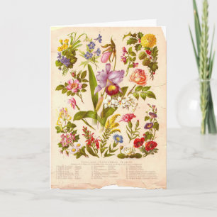 Kort för vintagevildblommahälsning