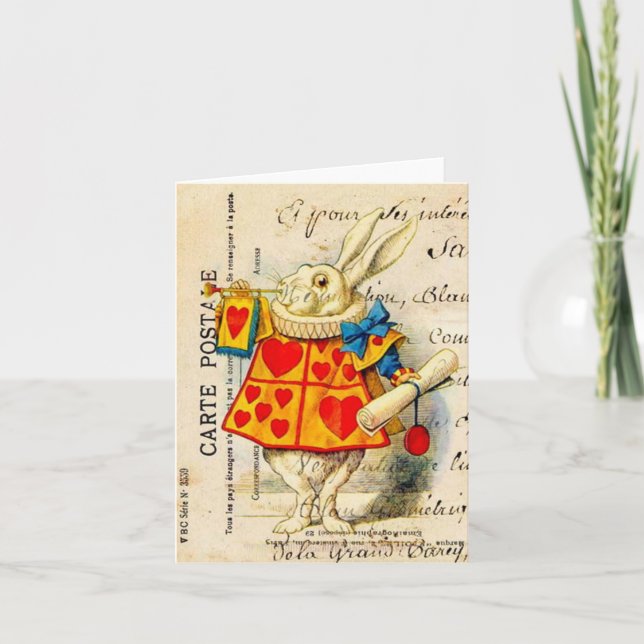 Kort för vitkaninunderland (Framsida)