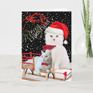 Kort för vitkattgod jul