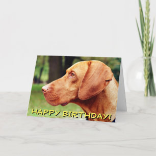 Kort för Vizsla hundfödelsedag