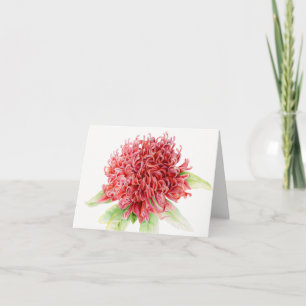 Kort för Waratah rött blom- botaniskt