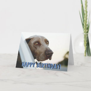 Kort för Weimaraner hundfödelsedag