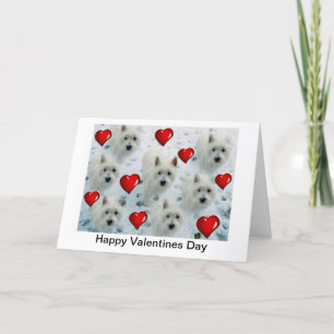 Kort för Westie hjärtavalentines day